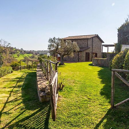 Home With A View In Scansano, Tuscany المظهر الخارجي الصورة