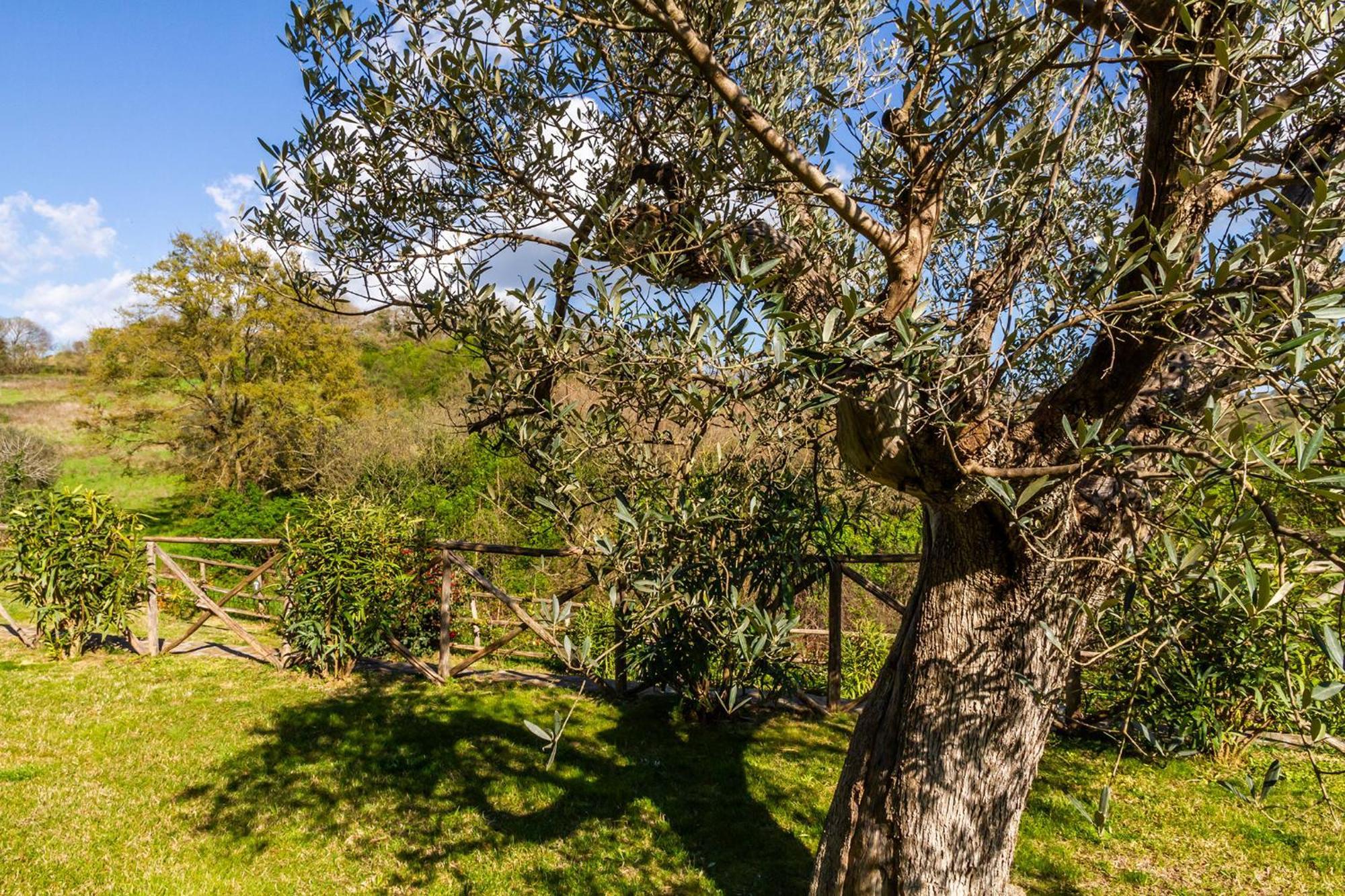 Home With A View In Scansano, Tuscany المظهر الخارجي الصورة