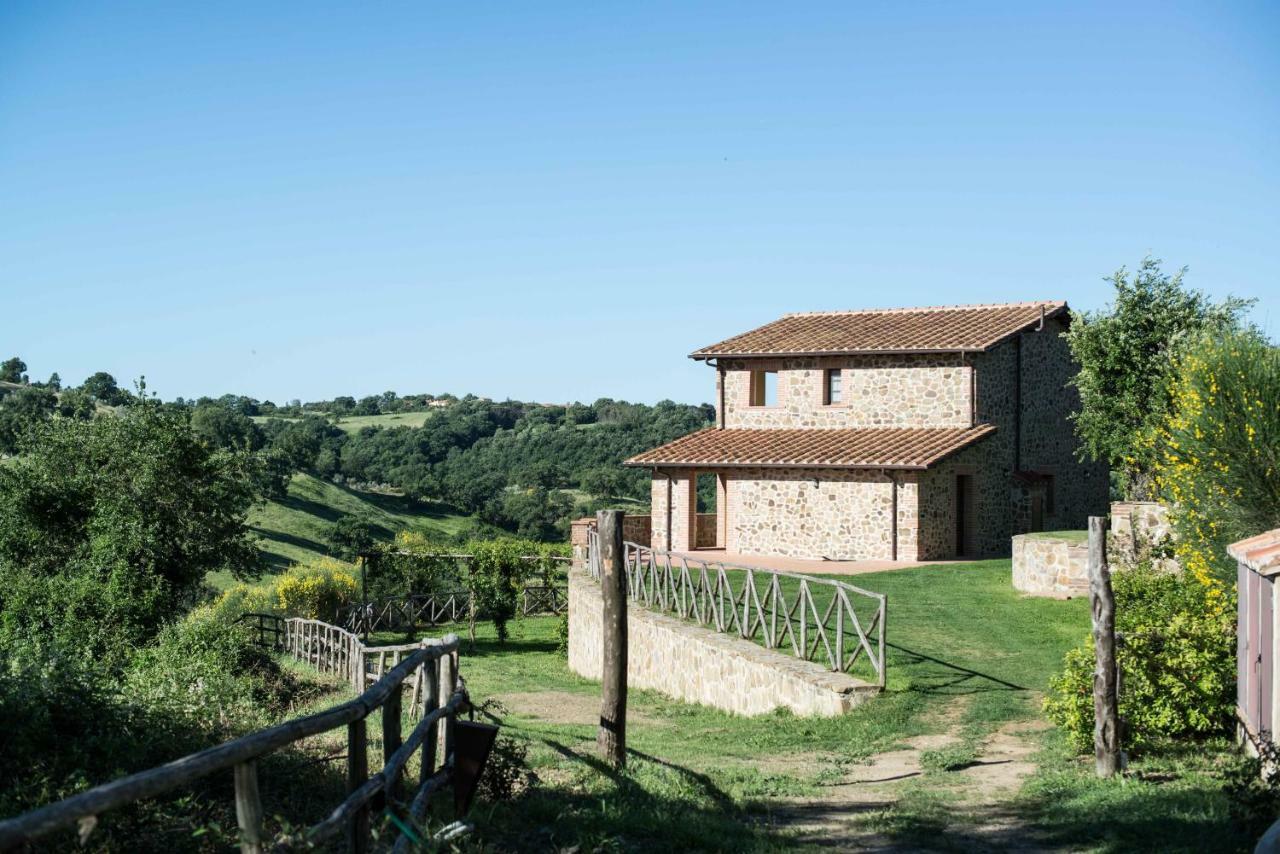 Home With A View In Scansano, Tuscany المظهر الخارجي الصورة