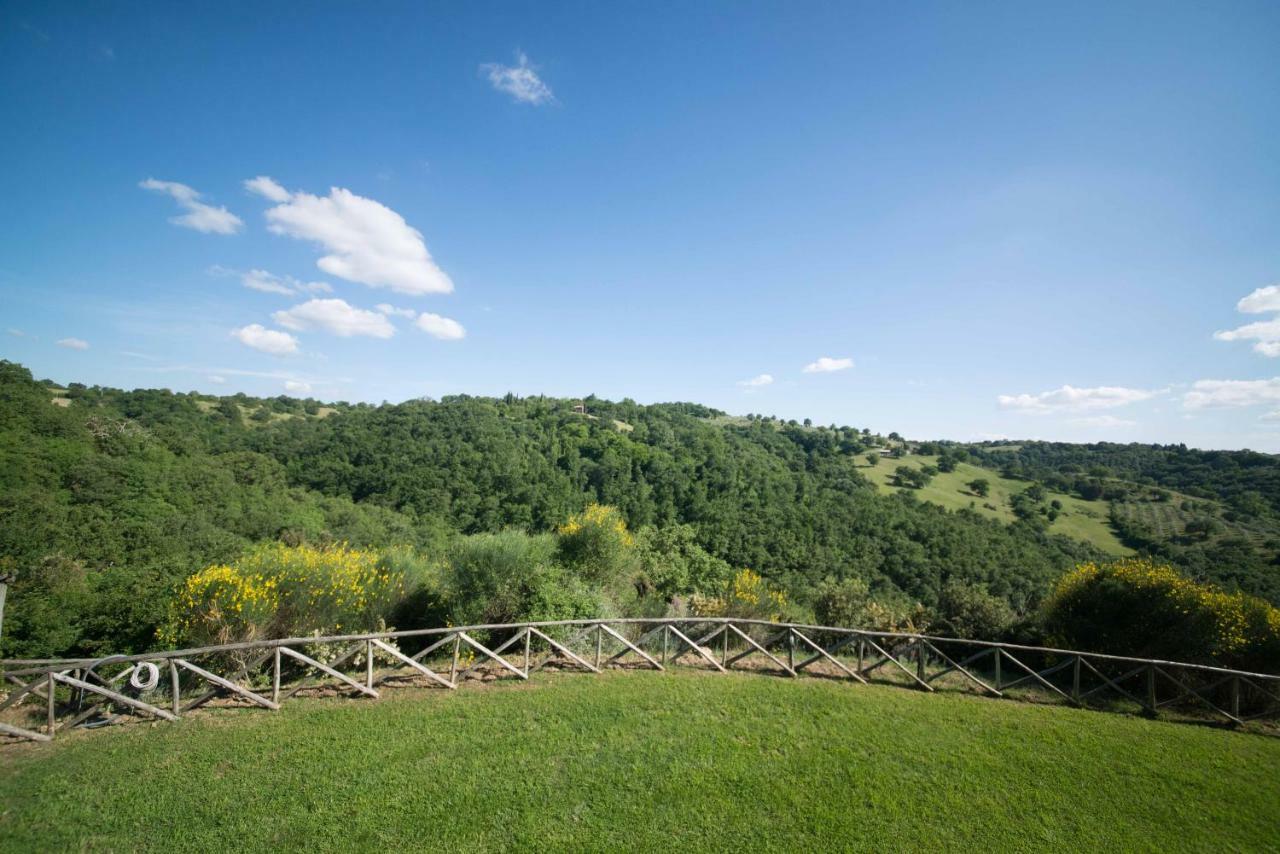 Home With A View In Scansano, Tuscany المظهر الخارجي الصورة